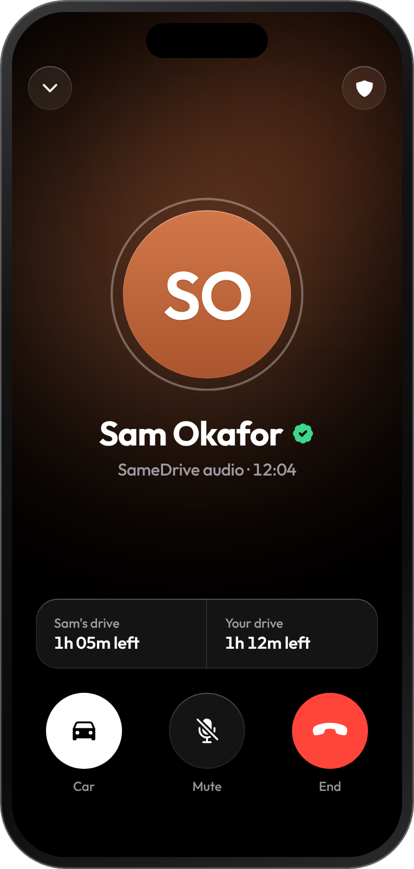 SameDrive call screen